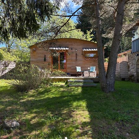 Chalet Grenouille Domaine De La Mamounette Champclause Esterno foto