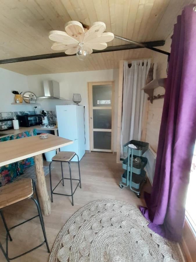 Chalet Grenouille Domaine De La Mamounette Champclause Esterno foto