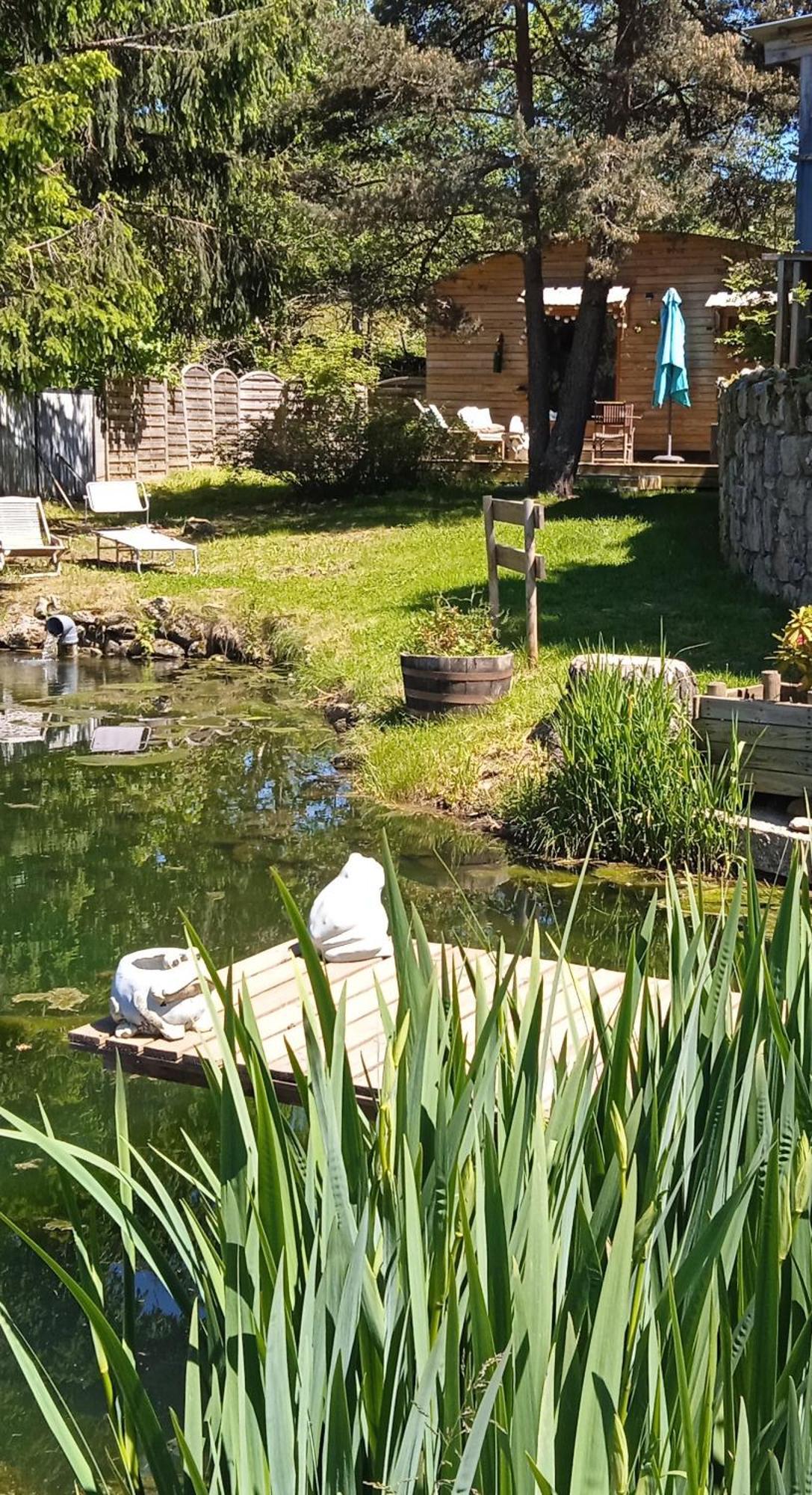 Chalet Grenouille Domaine De La Mamounette Champclause Esterno foto