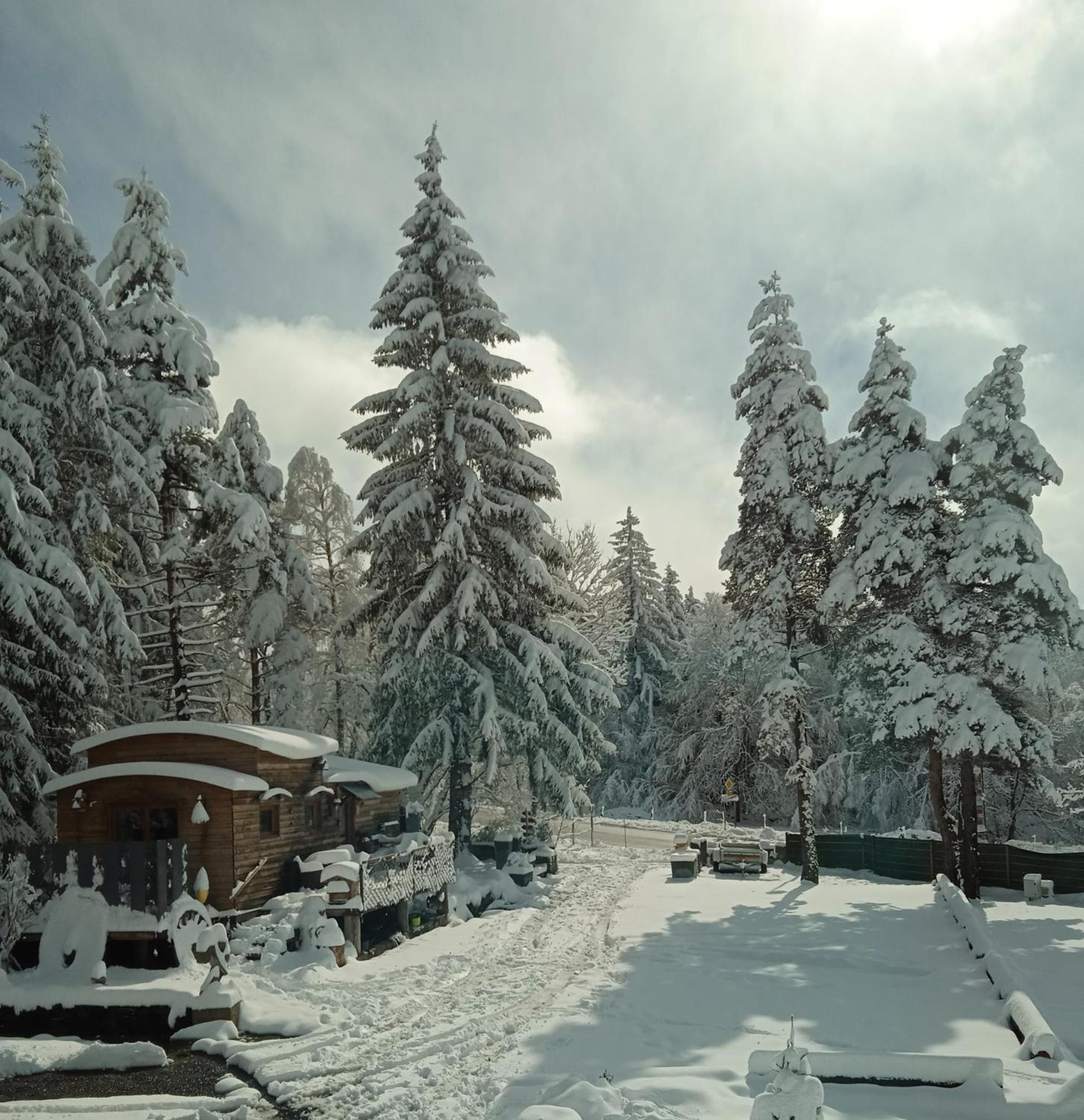 Chalet Grenouille Domaine De La Mamounette Champclause Esterno foto