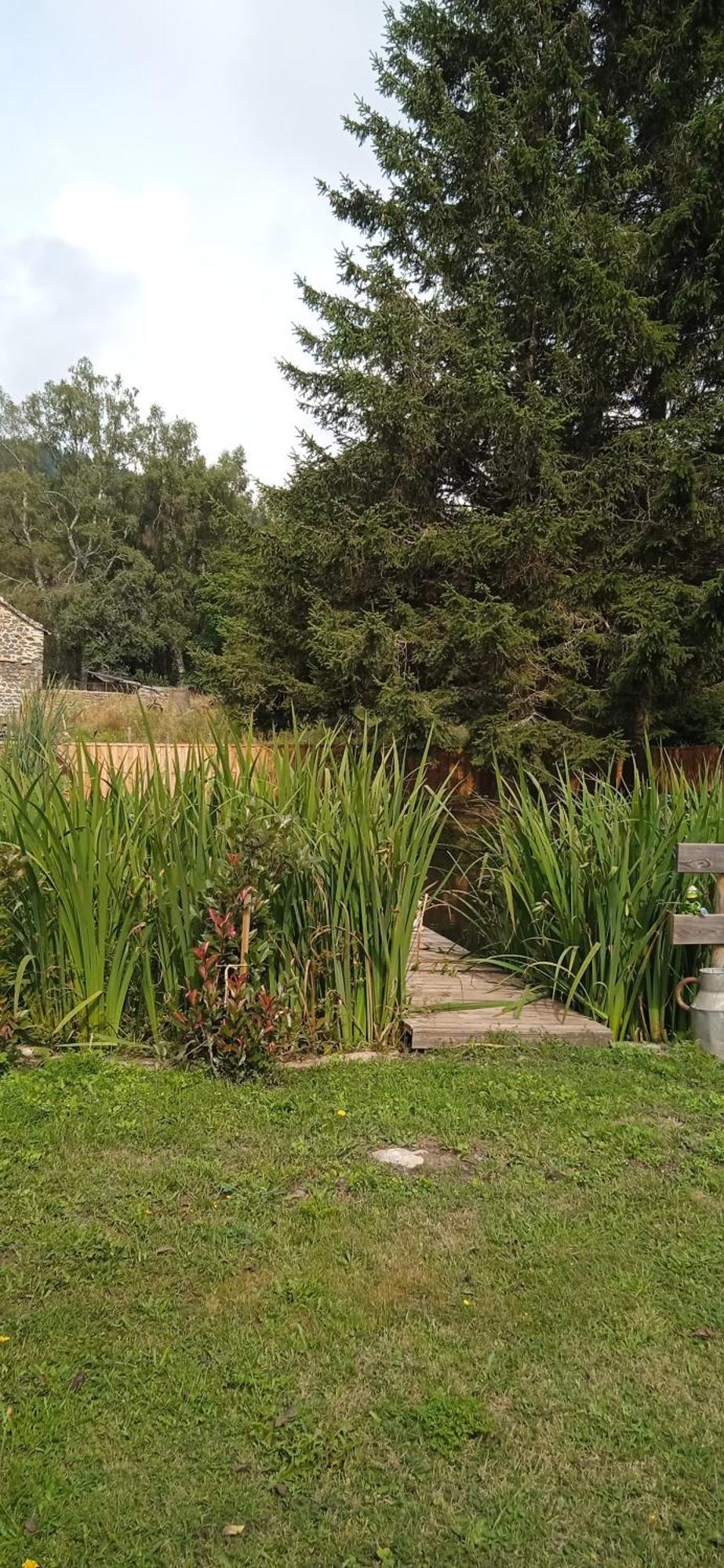 Chalet Grenouille Domaine De La Mamounette Champclause Esterno foto