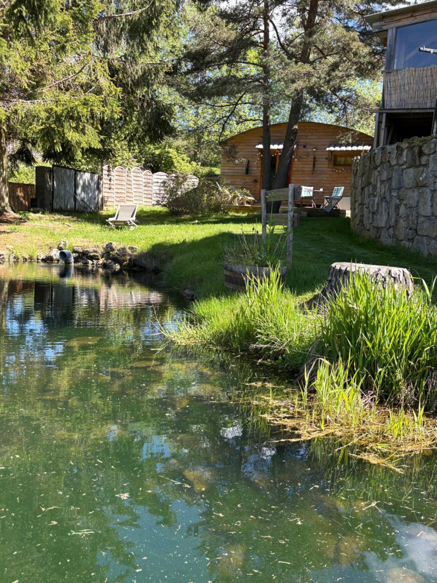 Chalet Grenouille Domaine De La Mamounette Champclause Esterno foto